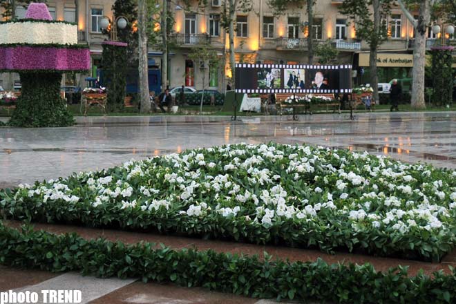 Bakı parklarında Gül bayramı keçirilir - FOTOSESSİYA